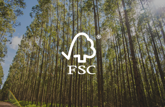 imagem Manejo Florestal Certificado FSC®