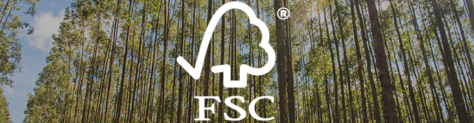 imagem Manejo Florestal Certificado FSC®