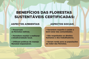 beneficios_florestas_sustentaveis_certificadas