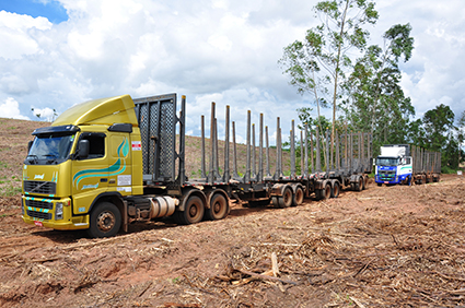 Transporte de Toras de Madeira Potencial Florestal